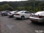 ΤΑ CELICA ΤΩΝ ΜΕΛΩΝ.