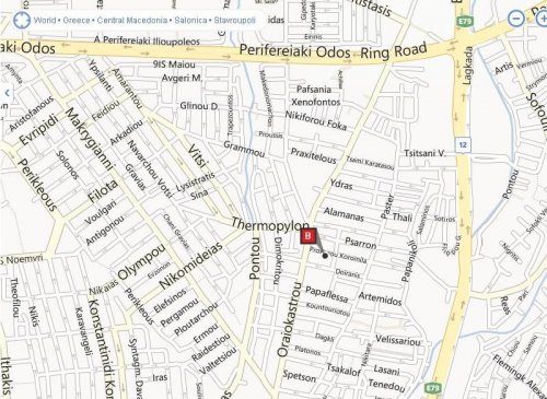 ΚΟΠΗ ΠΙΤΑΣ ΚΥΡΙΑΚΗ 27 ΙΑΝΟΥΑΡΙΟΥ 2013 (ΜΕΛΩΝ Β.ΕΛΛΑΔΟΣ)